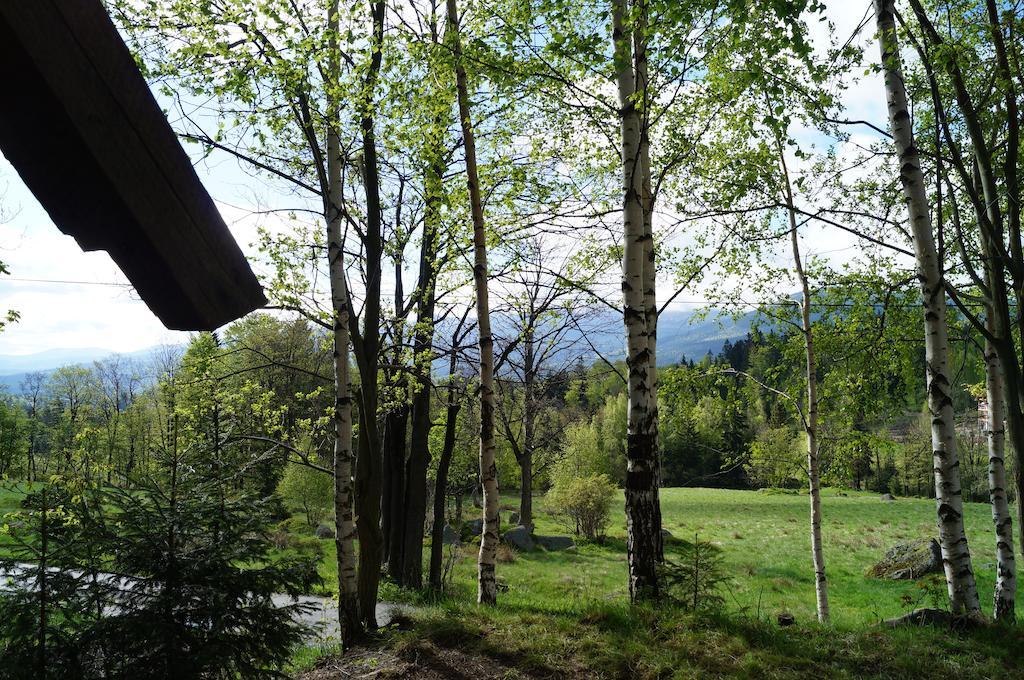 Misiowka Apartment ชกลาร์สกา ปอเรมบา ภายนอก รูปภาพ